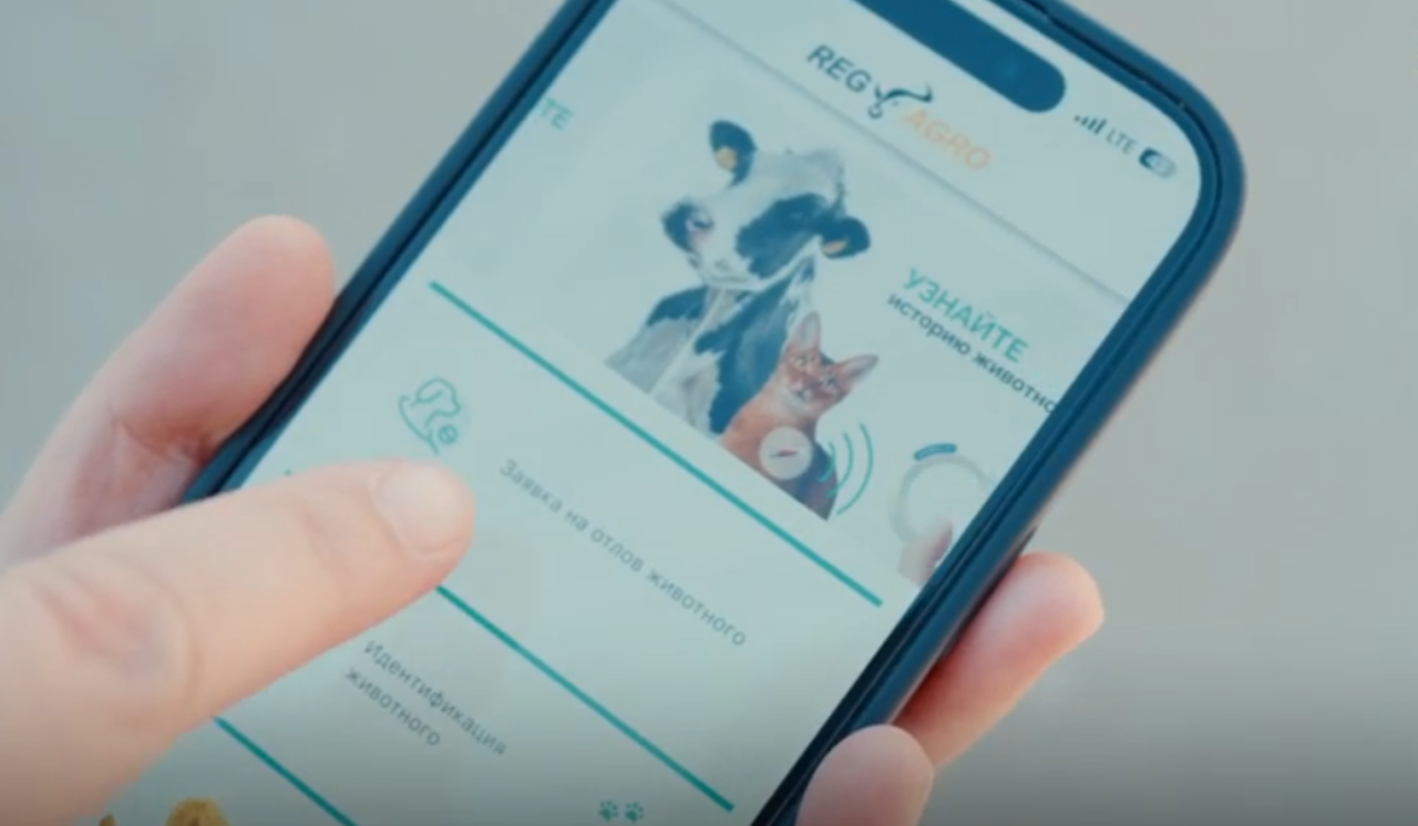 «РЕГАГРО ПОИСК ЖИВОТНОГО»: как подать заявку на отлов животных без владельцев