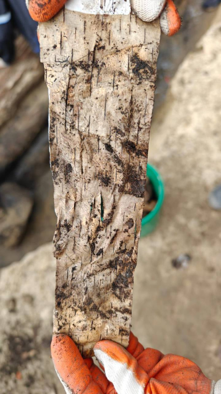 В Якутске найдены первые на Дальнем Востоке берестяные грамоты